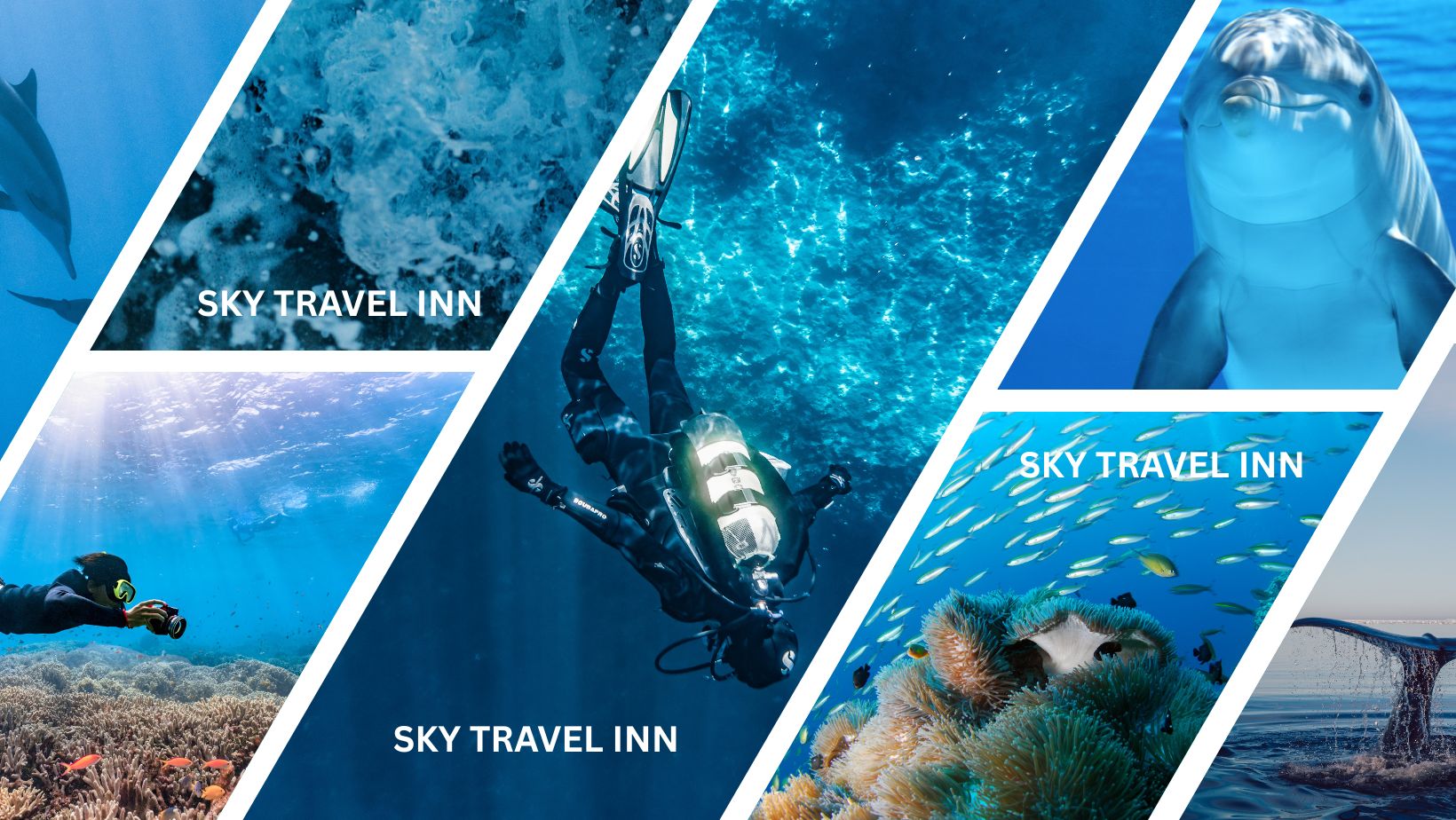 Sea Travel